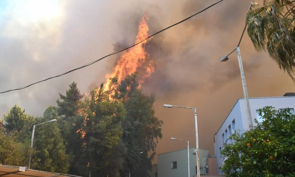 Παλαιστίνη - Επιστολή αλληλεγγύης και στήριξης - Σε ετοιμότητα να αποστείλουμε βοήθεια στην Ελλάδα για την καταπολέμηση των πυρκαγιών